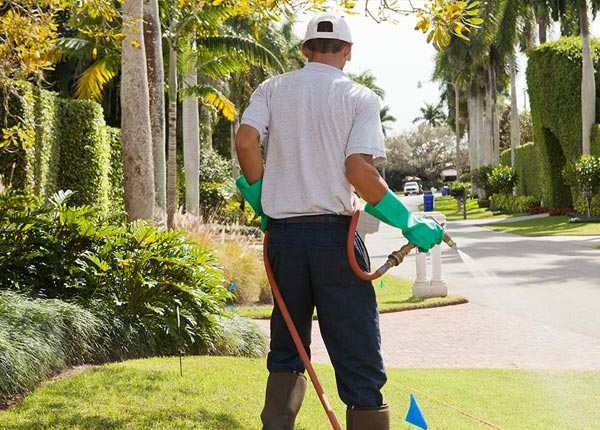 About Conway NH Pest Control